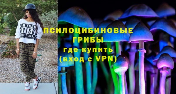 дмт Алексин