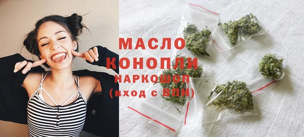 дмт Алексин