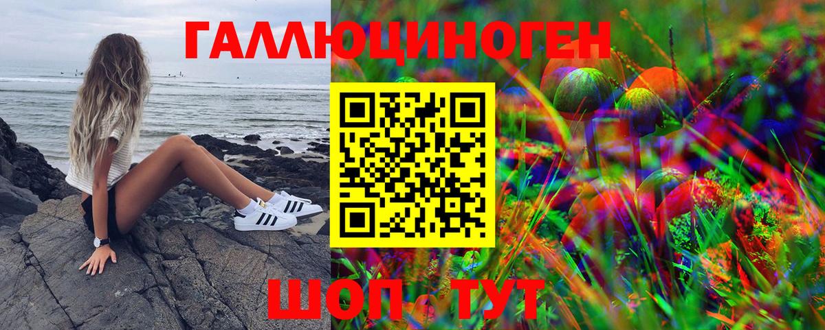 Павлово  Псилоцибиновые грибы мицелий  Псилоцибиновые грибы Psilocybine cubensis  Вход с VPN 